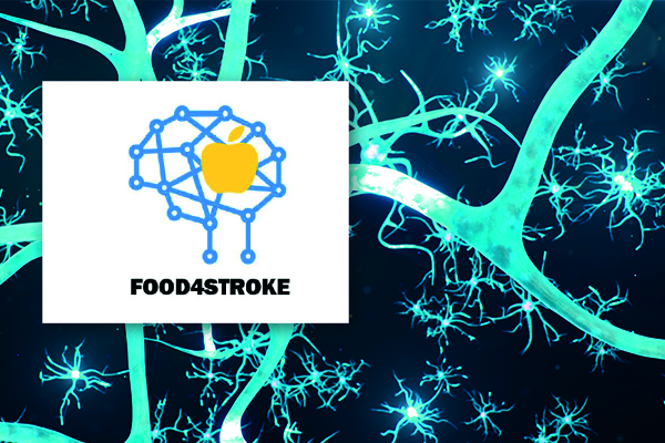 Food4Stroke, bet on foods with neuroprotective effect for an active aging of society