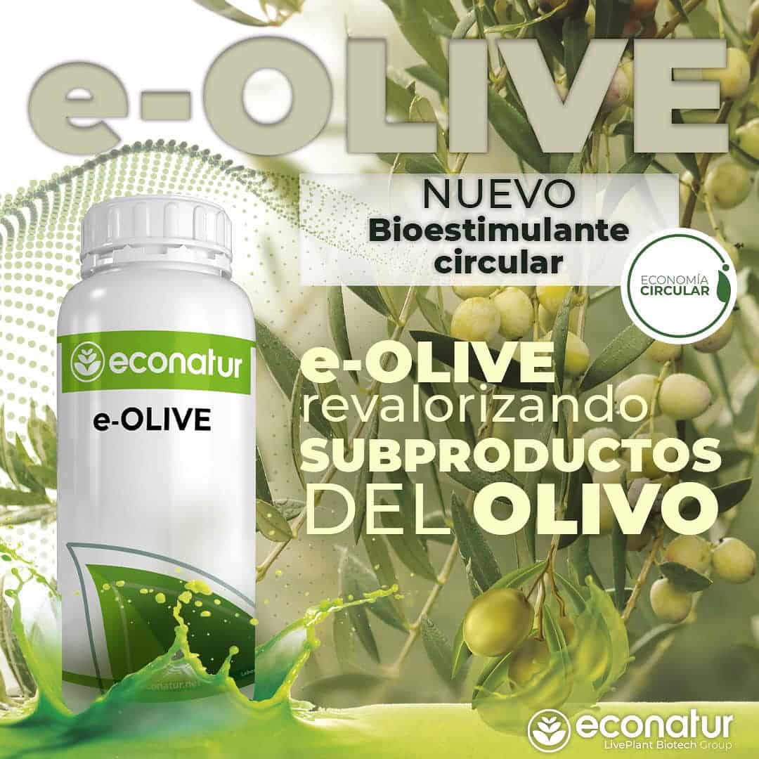 bioestimulante_circular_olivo