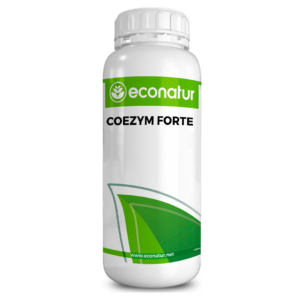 COEZYM FORTE 300x300