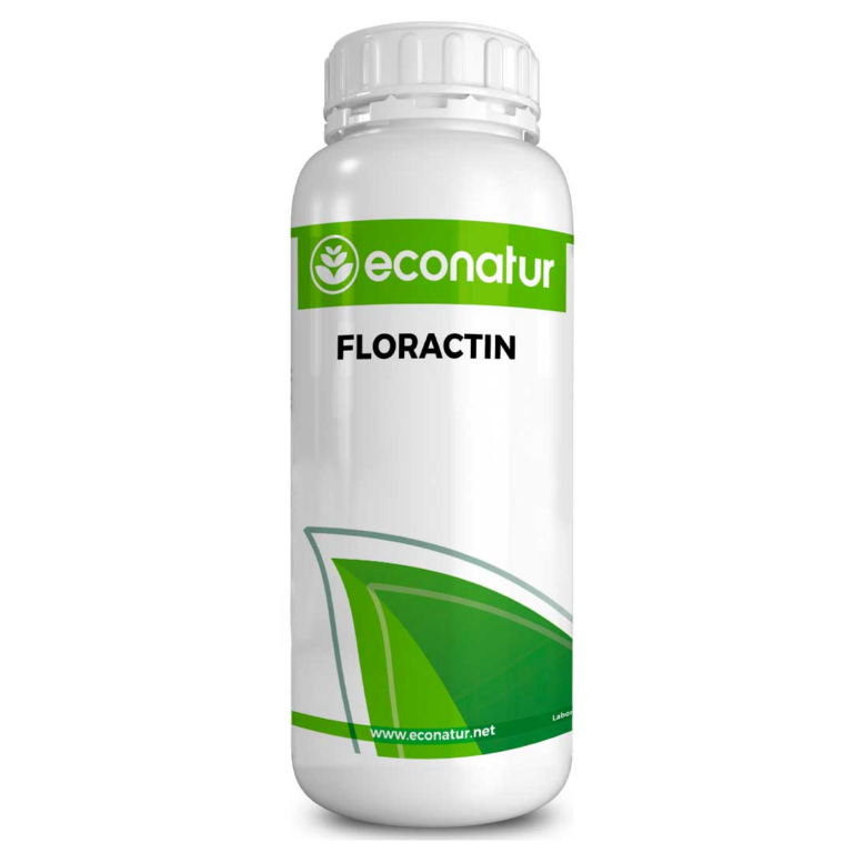 FLORACTIN 768x768