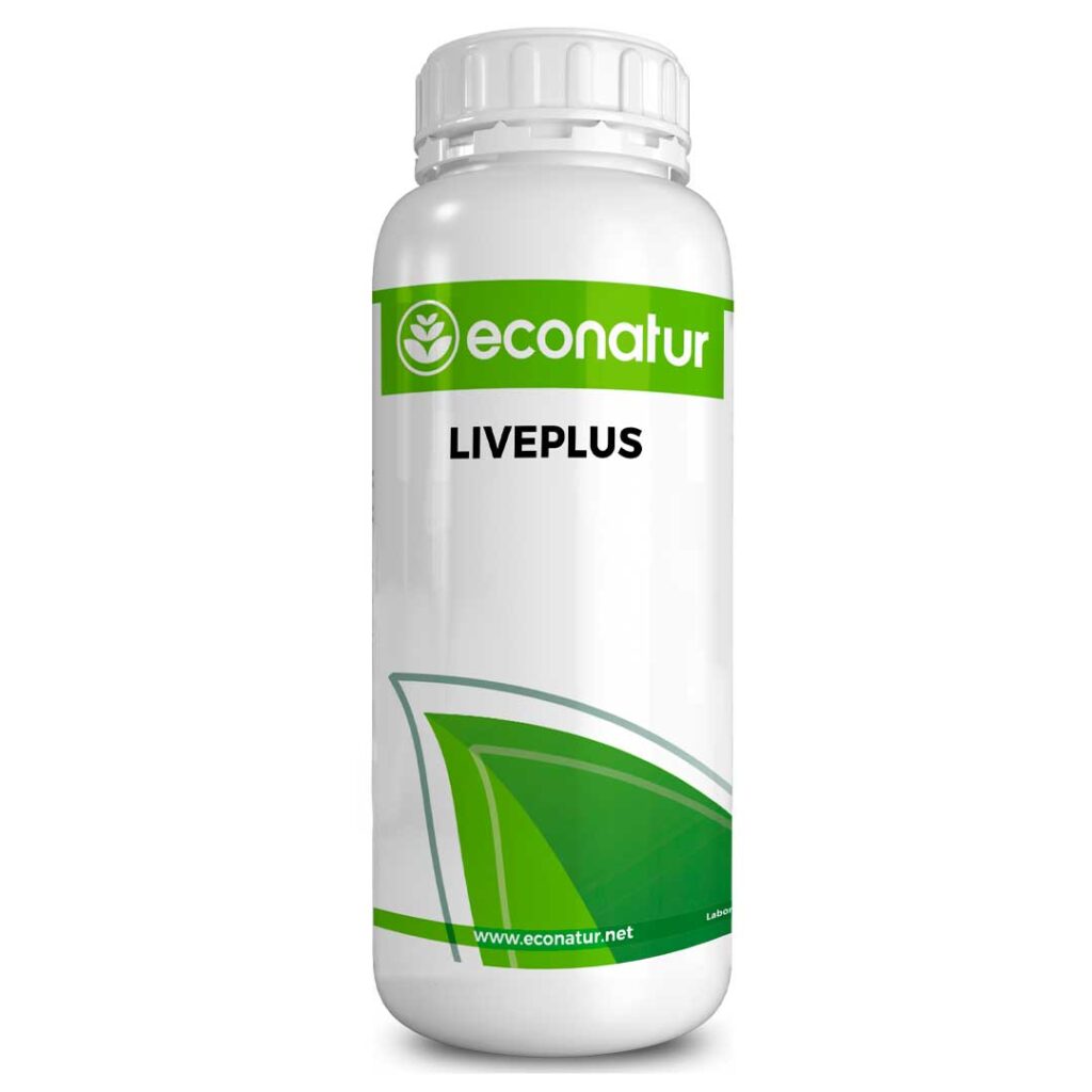 LIVEPLUS