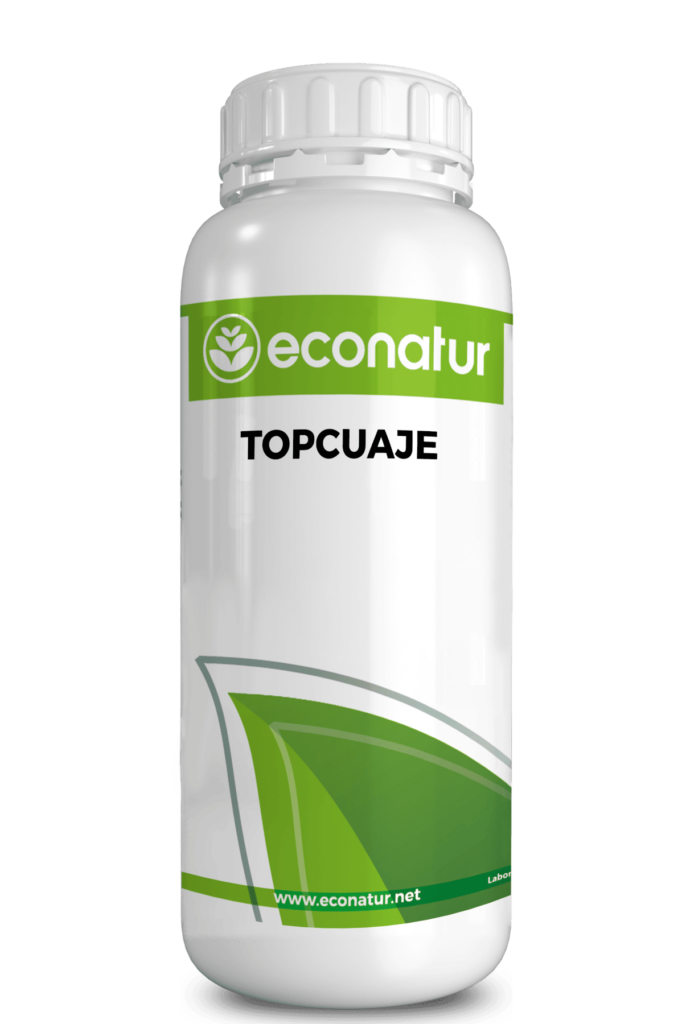 TOPCUAJE econatur 682x1024