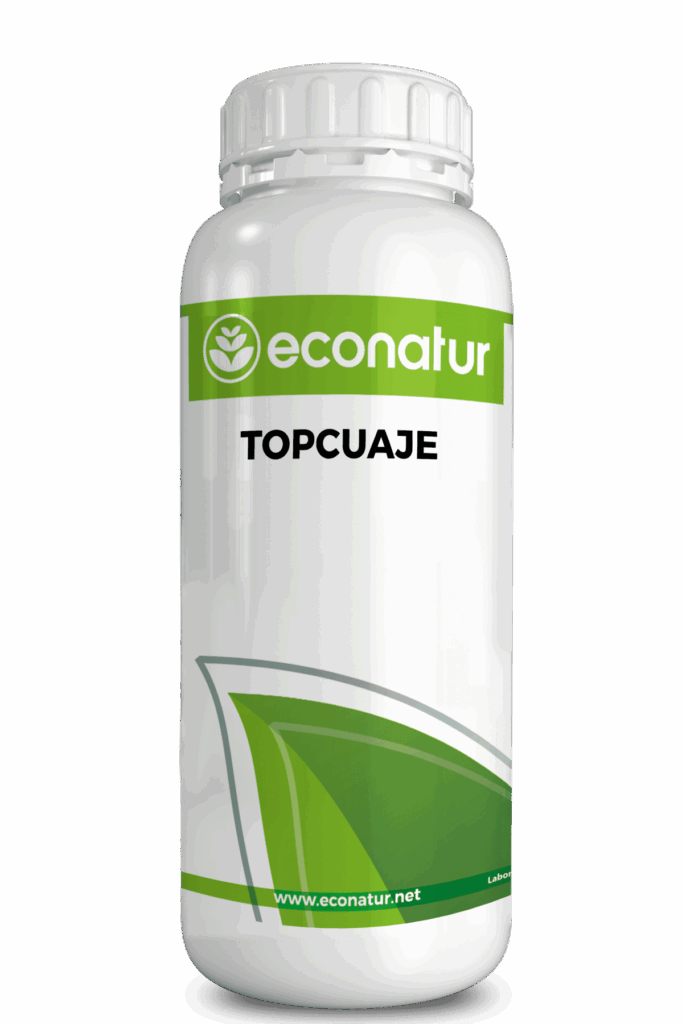 TOPCUAJE econatur