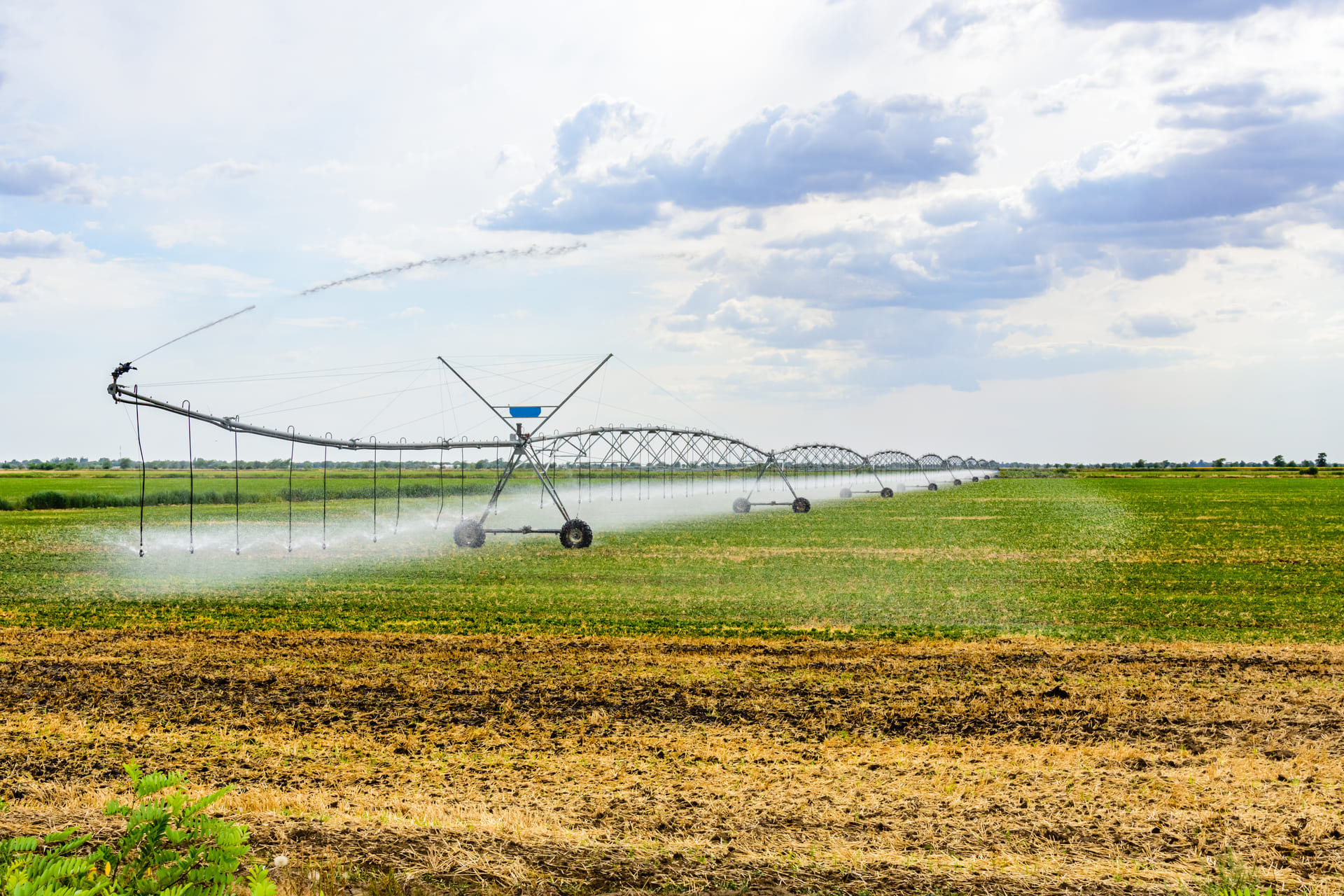 Conservación del agua en agricultura econatur