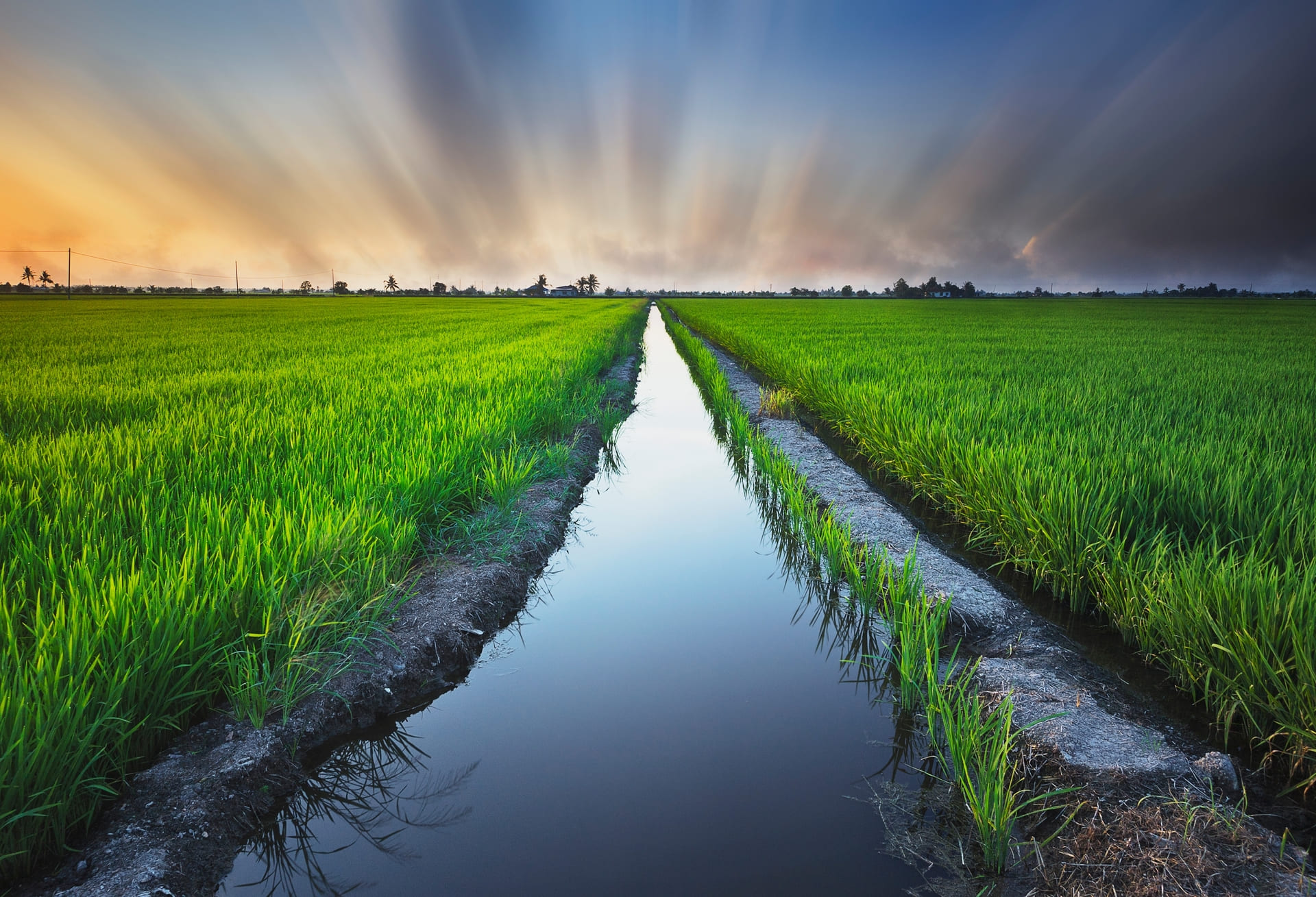 Conservación del agua en agricultura