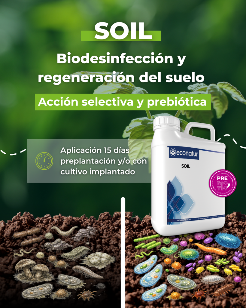 Soil Regenerados de suelo
