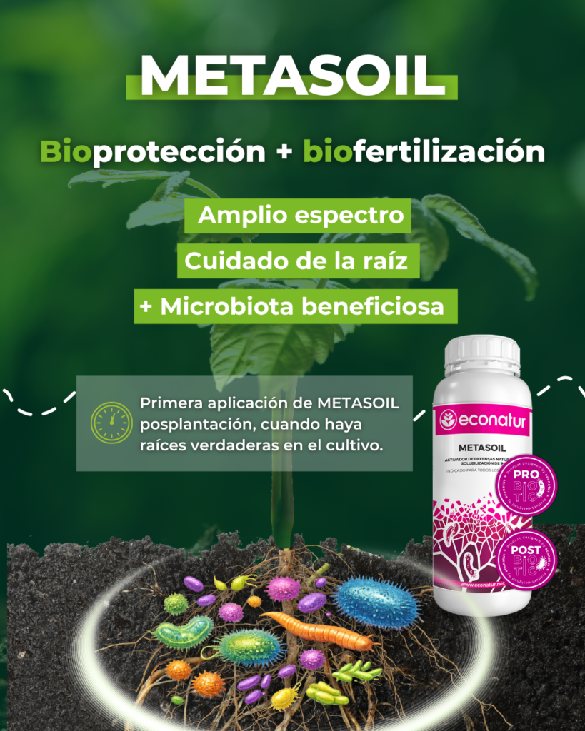 Metasoil Bioprotección y biofertilizacion.