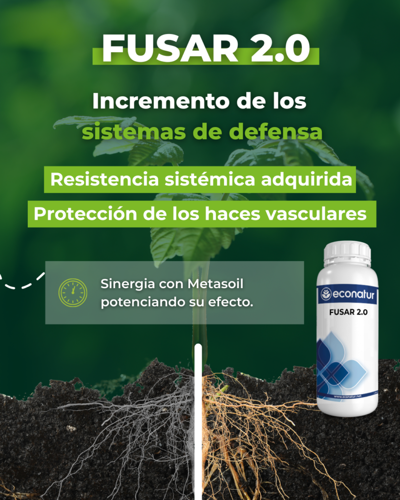 Fusar - Incremento de sistemas de defensa