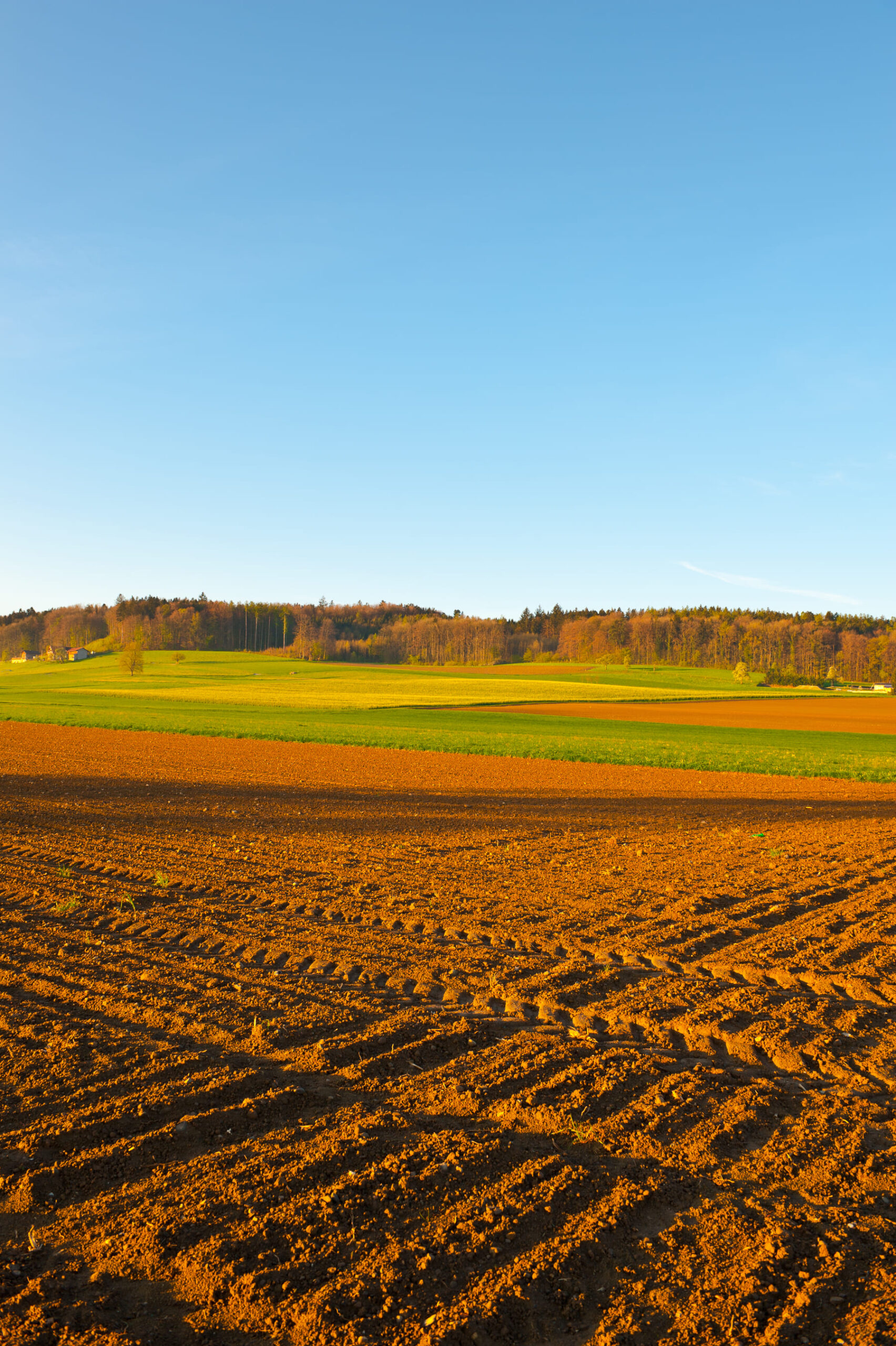 Calidad del suelo agricola econatur