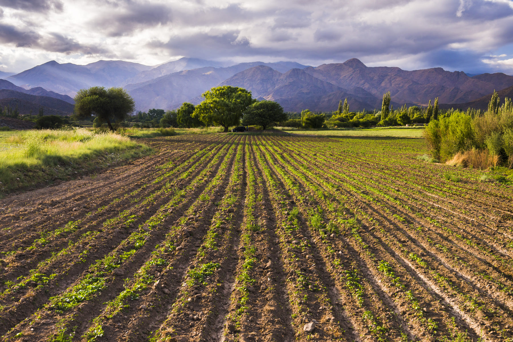 Calidad del suelo agricola