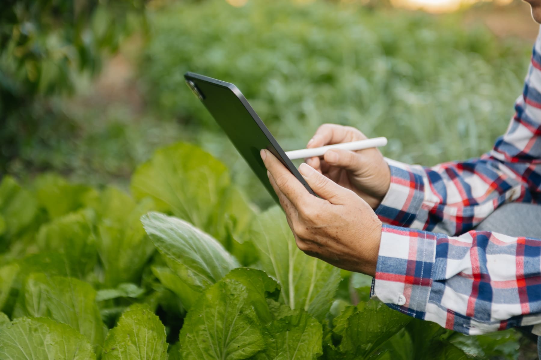 Herramientas de monitoreo agrícola (1)