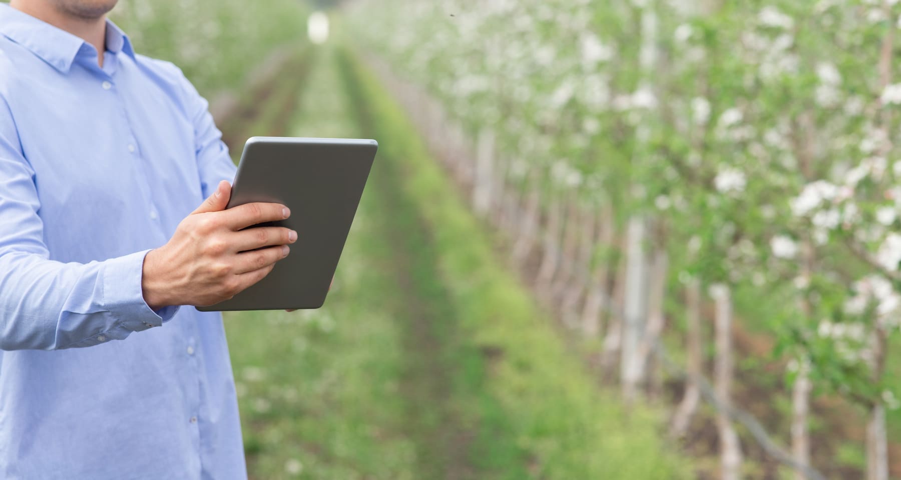 Herramientas de monitoreo agrícola (2)