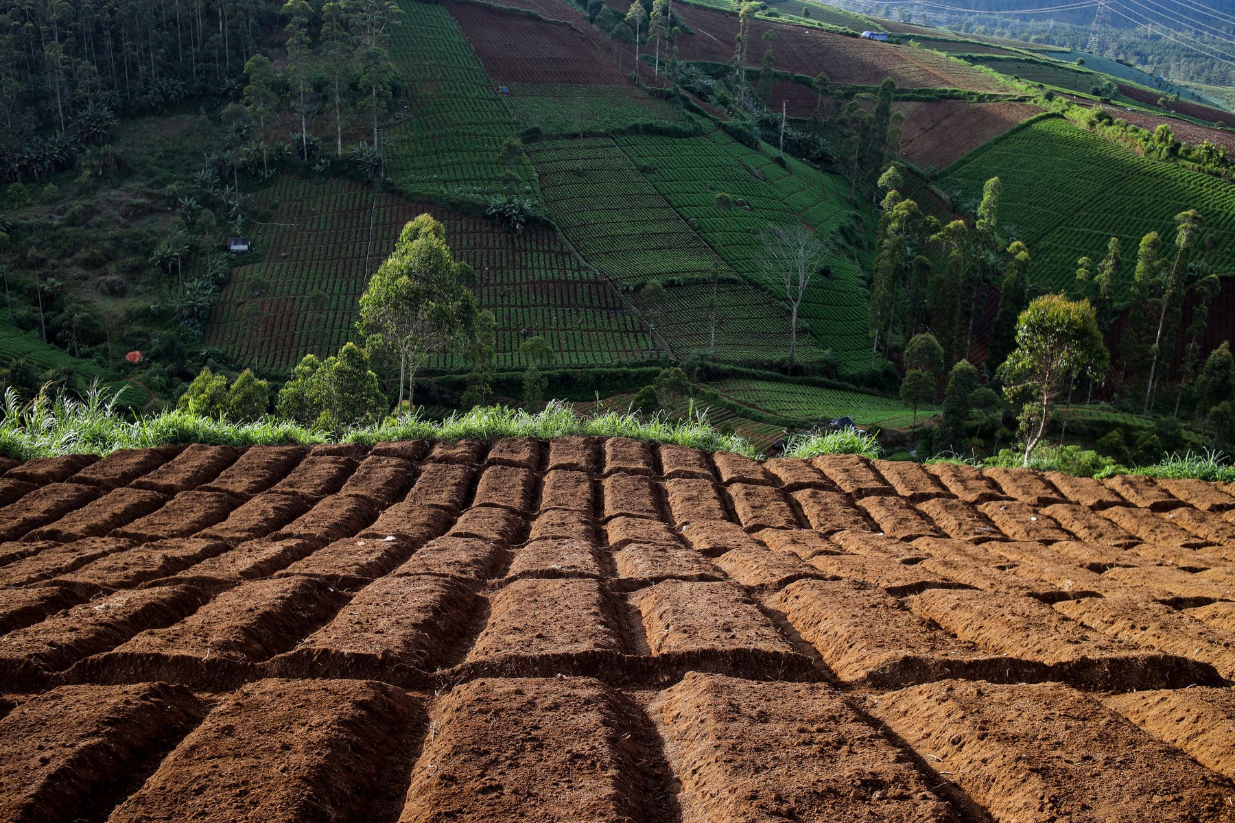 Manejo de suelos agrícolas (2)