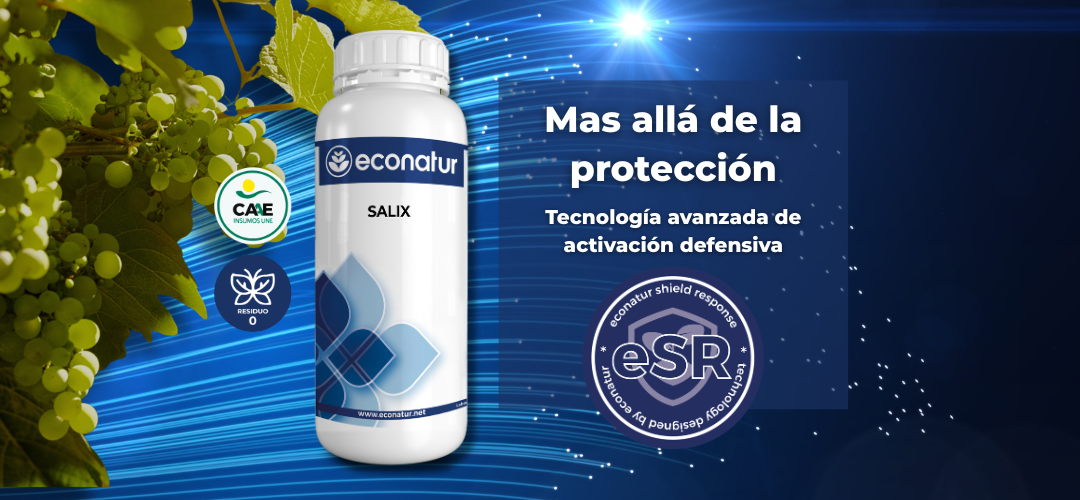 tecnología esr