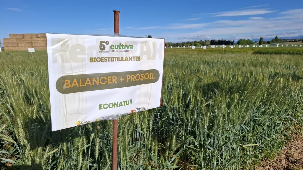 Ensayo Econatur en Jornada en Cultiva